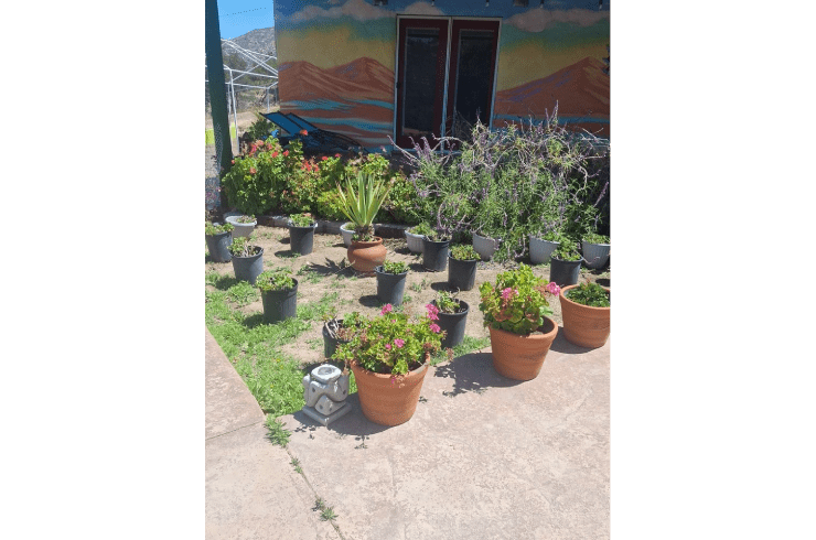 Chico Landscaping