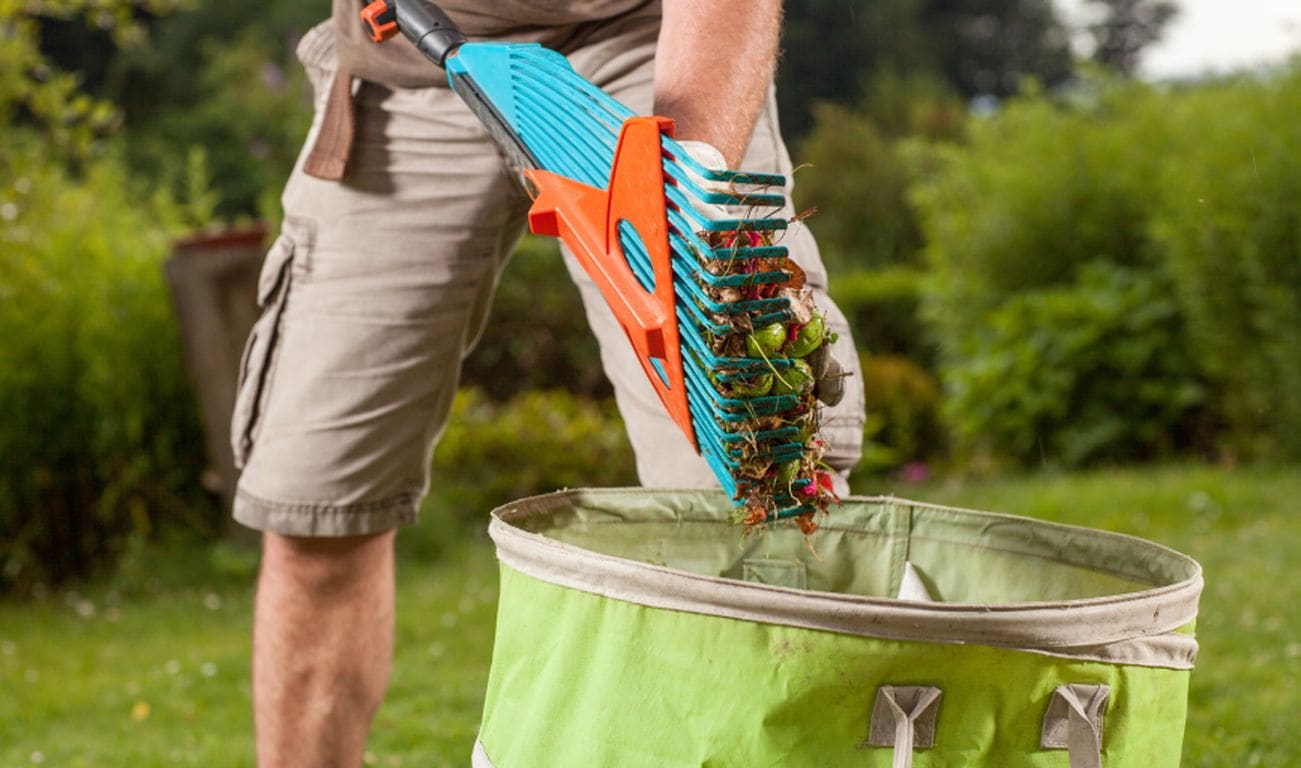Chico Landscaping